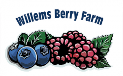 willems berry farm logo